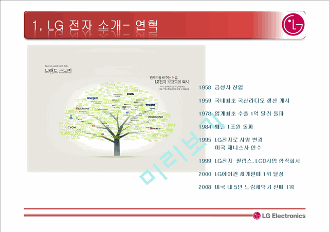 LG 전자 소개와 조직구조 변화과정,글로벌매트릭스 조직   (5 )